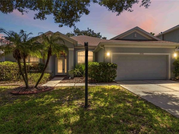 12526 BURGESS HILL DRIVE, RIVERVIEW, FL 33579