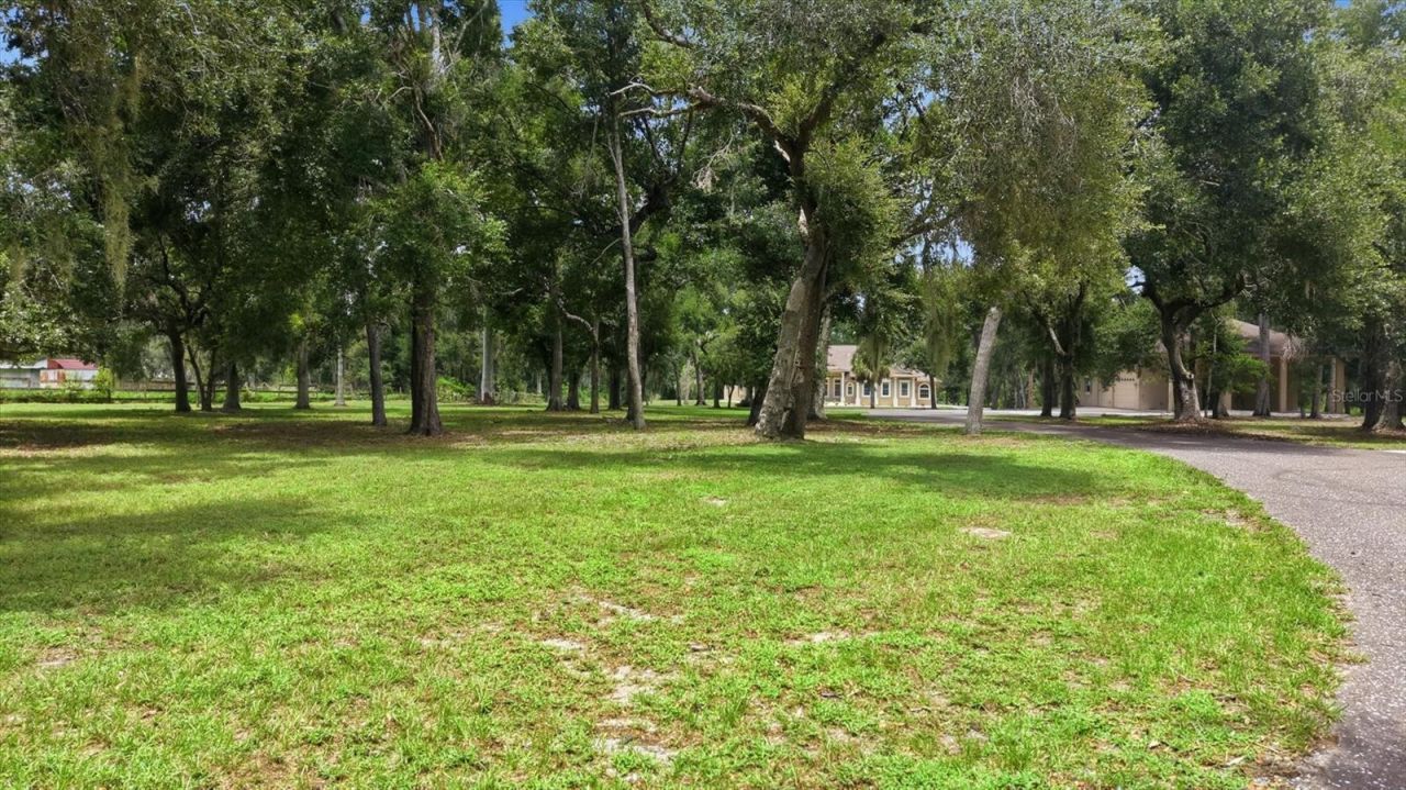 24525 Jennings Road, Myakka City, FL 34251 Photo