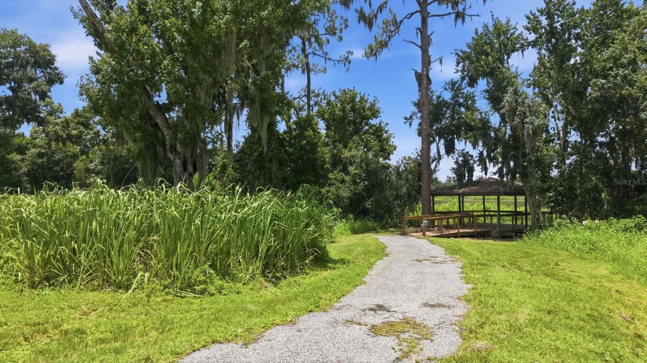 24525 Jennings Road, Myakka City, FL 34251 Photo