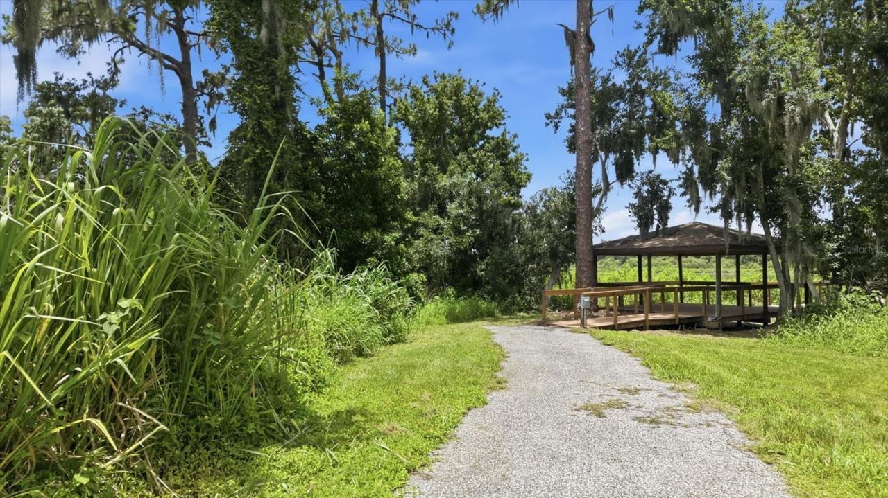 24525 Jennings Road, Myakka City, FL 34251 Photo