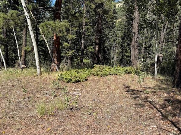 1007 Derby Drive , Cripple Creek, CO 80813