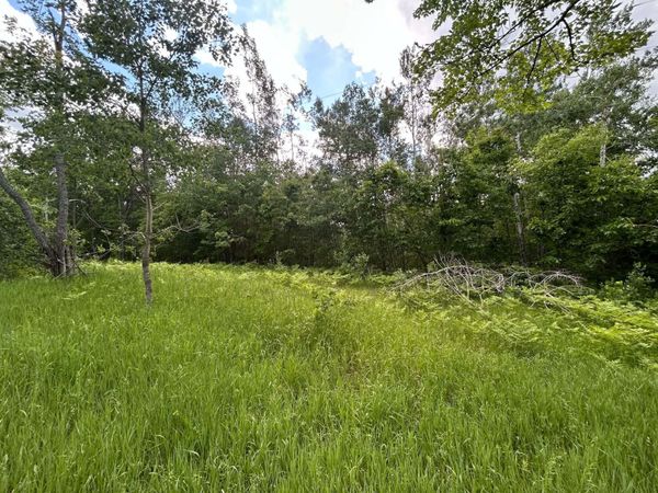 Parcel 1 Weaver Road, Comins, MI 48619