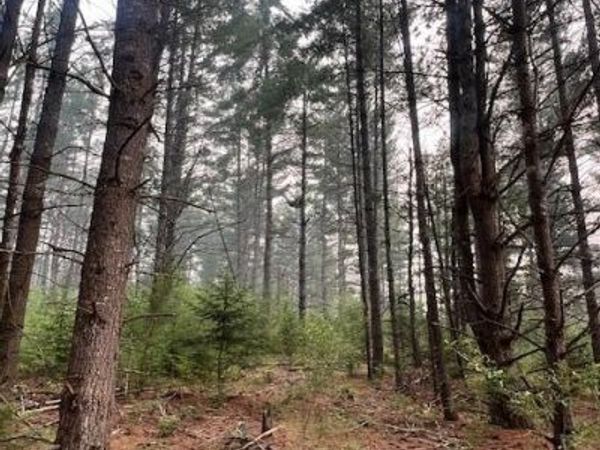 2821 Gorton Road, Luzerne, MI 48636