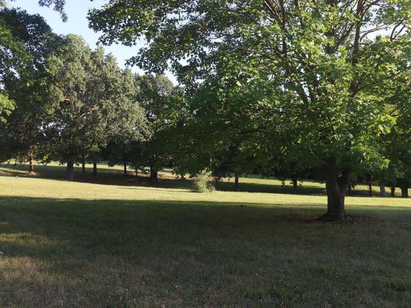 17984 State Highway 248 , Cassville, MO 65625