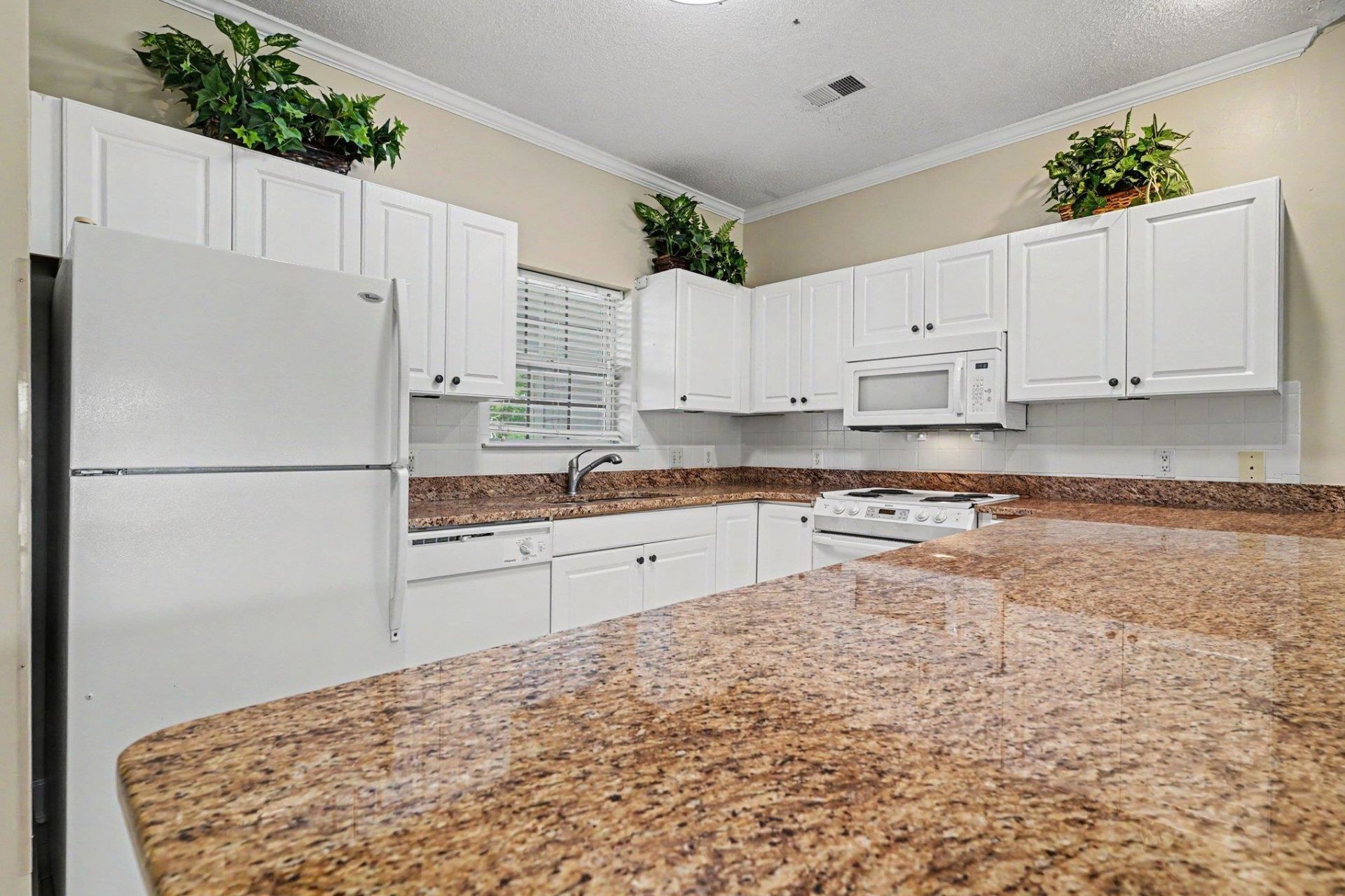 4815 Orchid Way  Photo 8
