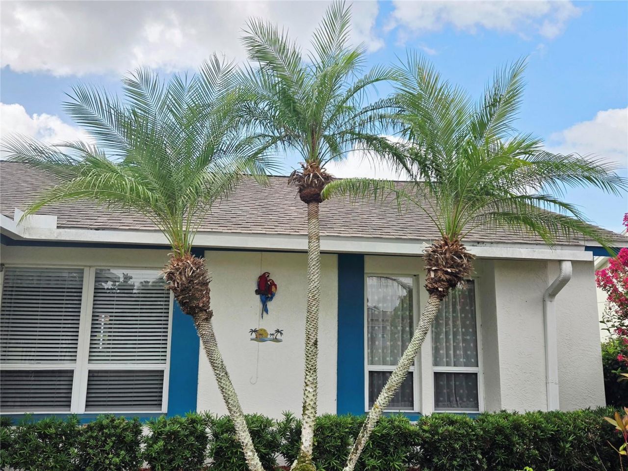 4236 Pro Am Ave E, Bradenton, FL 34203 Photo