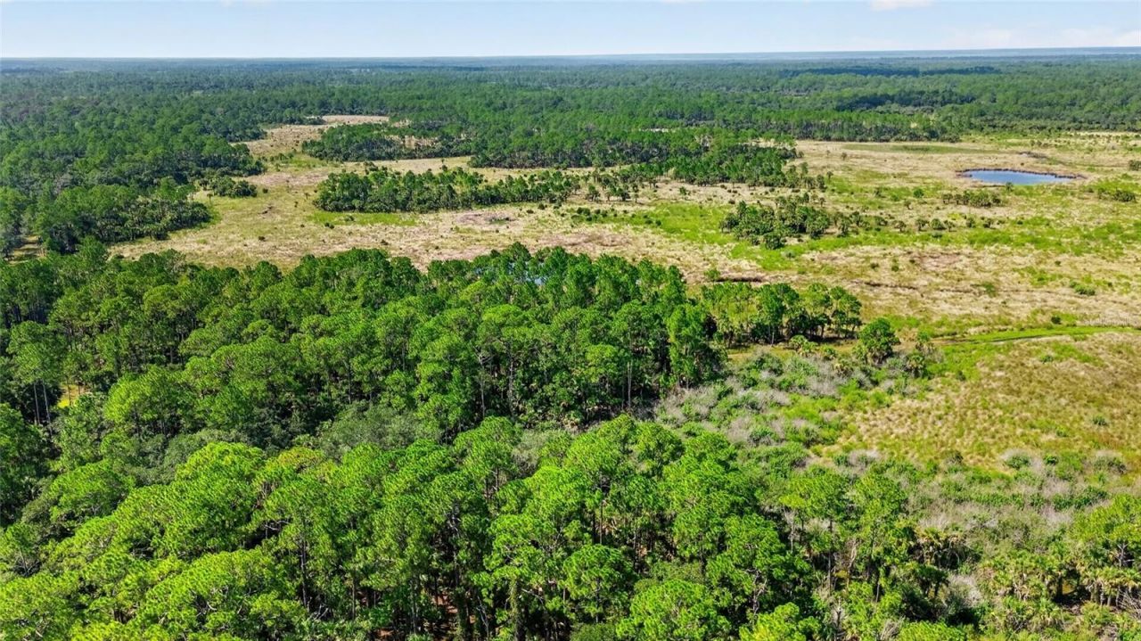 5365 Paces Landing Road, Mims, FL 32754 Photo