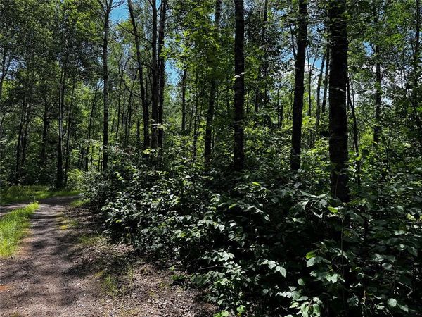 Lot 12 Cassandra Road, Hayward, WI 54843