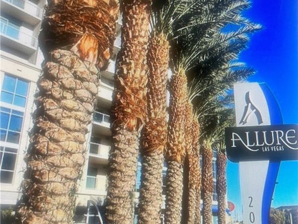 Las Vegas, NV 89102