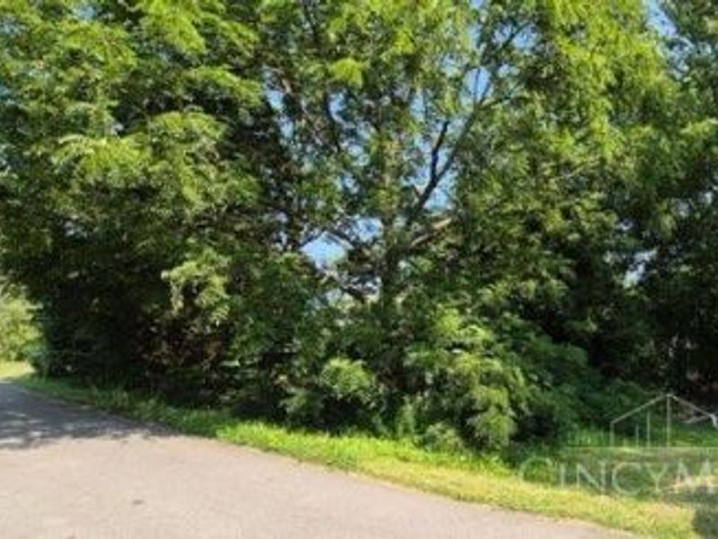 10920 Cinderella Drive, Paint Township, OH 45133 Photo 3