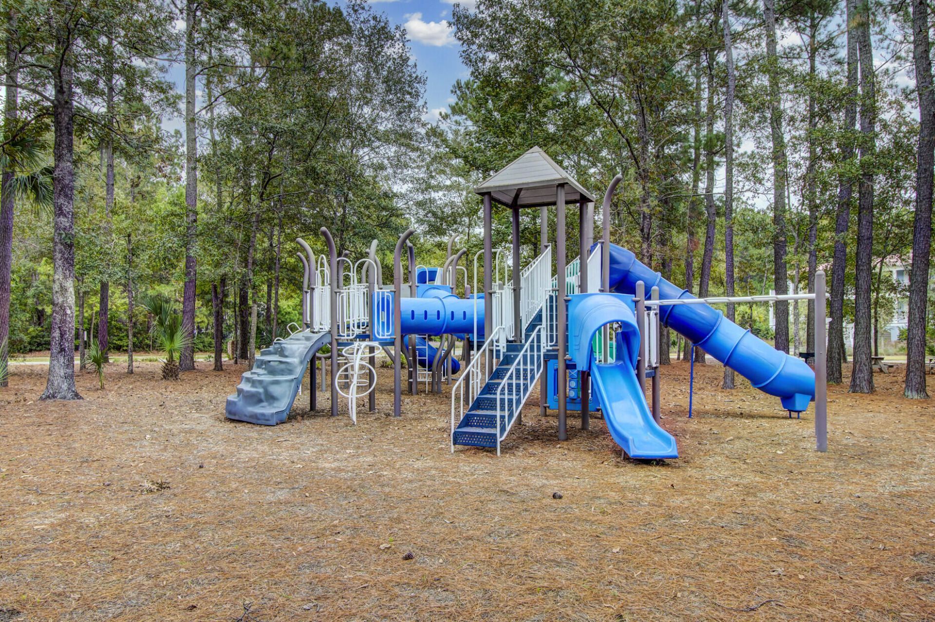 160 Grand Park Boulevard Photo 126