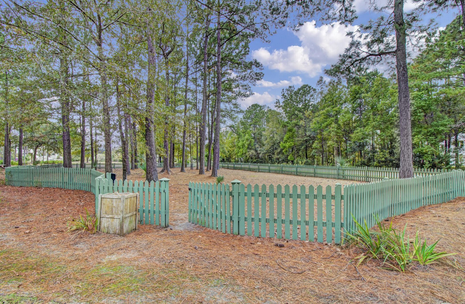 160 Grand Park Boulevard Photo 128