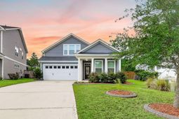 251 Palmetto Walk Drive photo 4