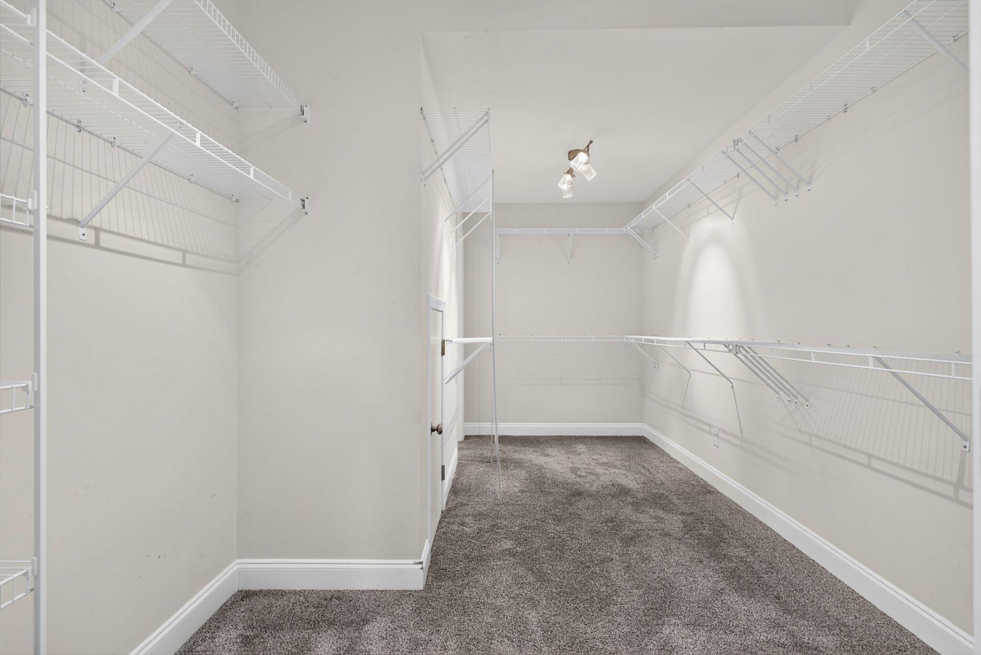 251 Palmetto Walk Drive Photo 28