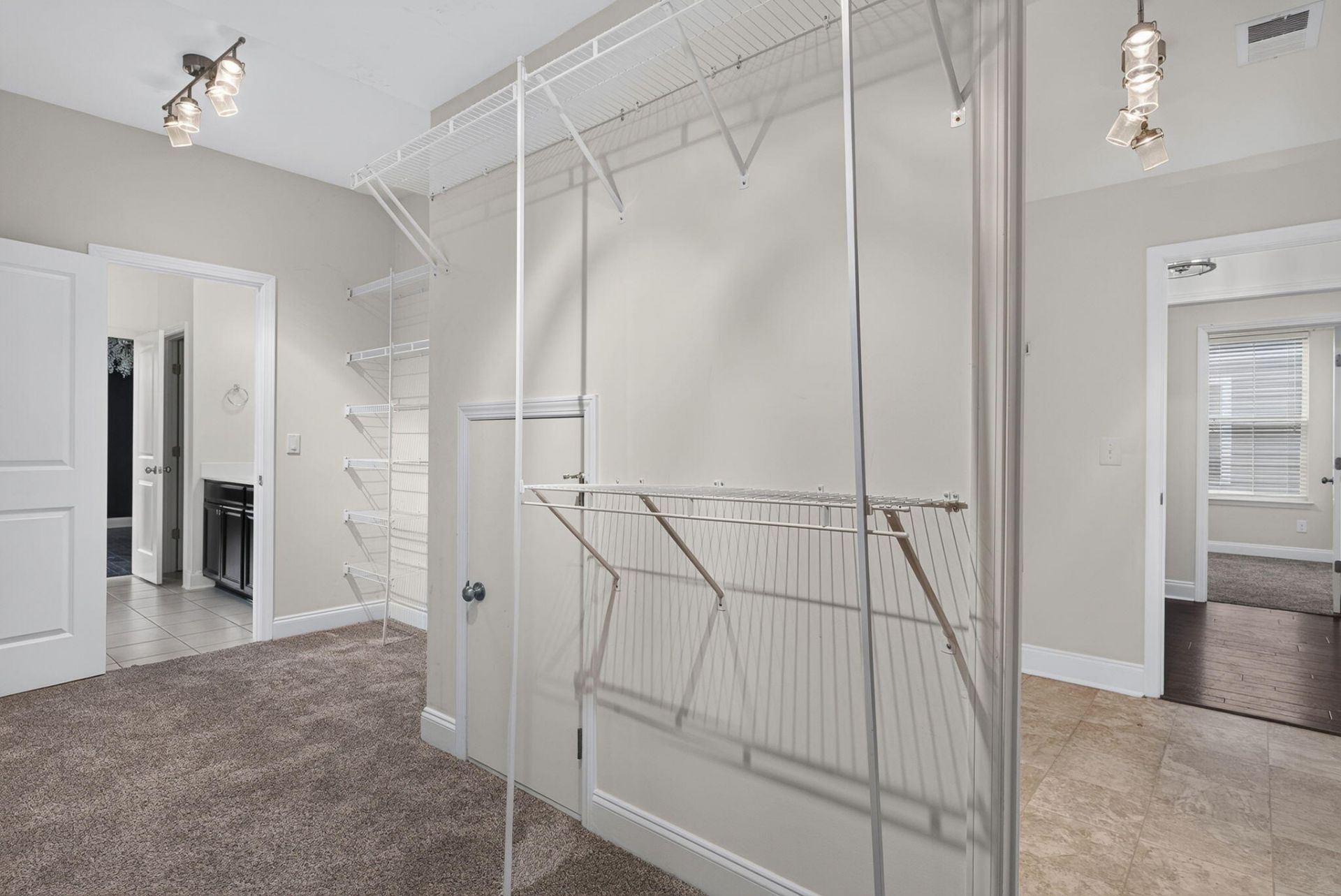 251 Palmetto Walk Drive Photo 29