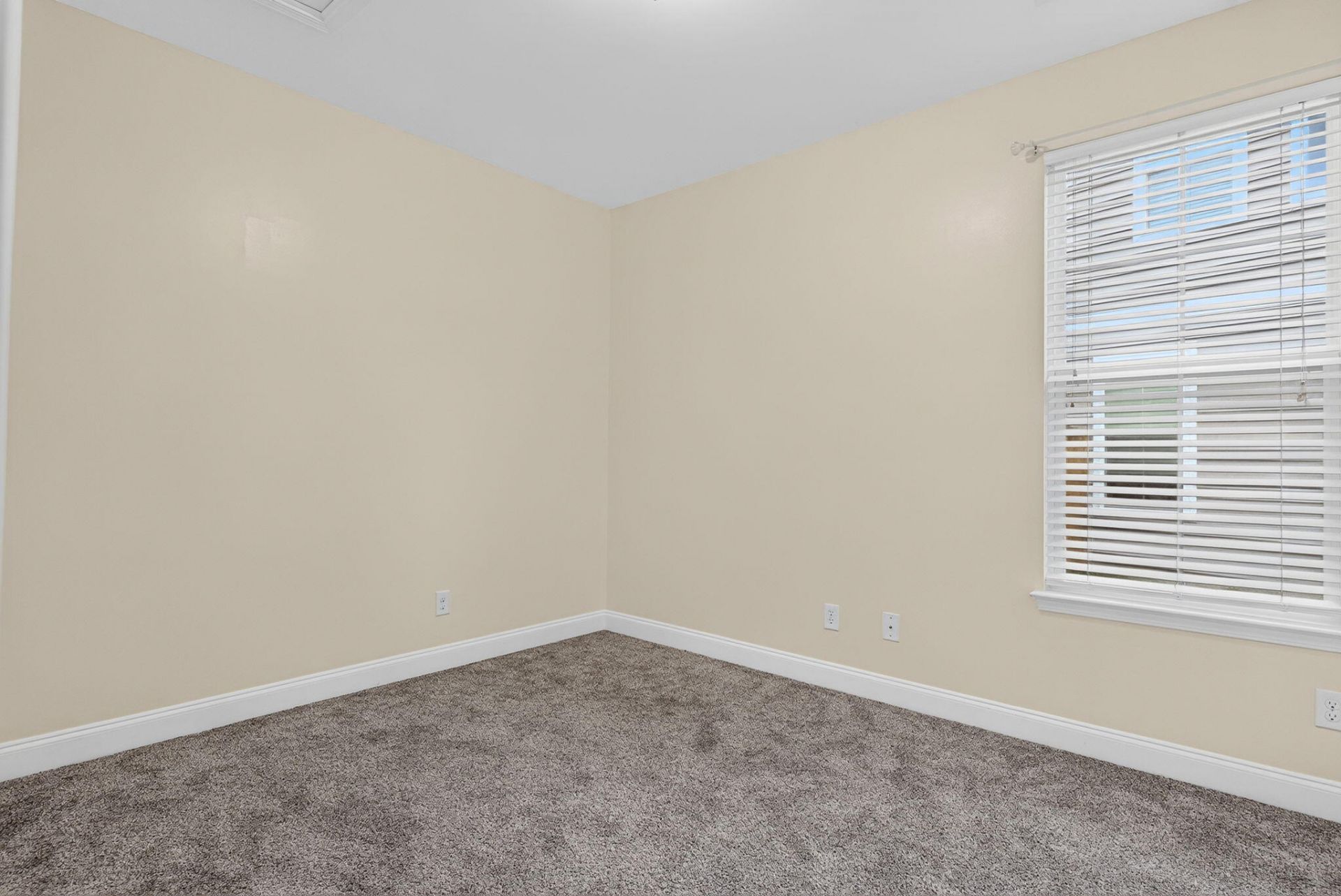 251 Palmetto Walk Drive Photo 31