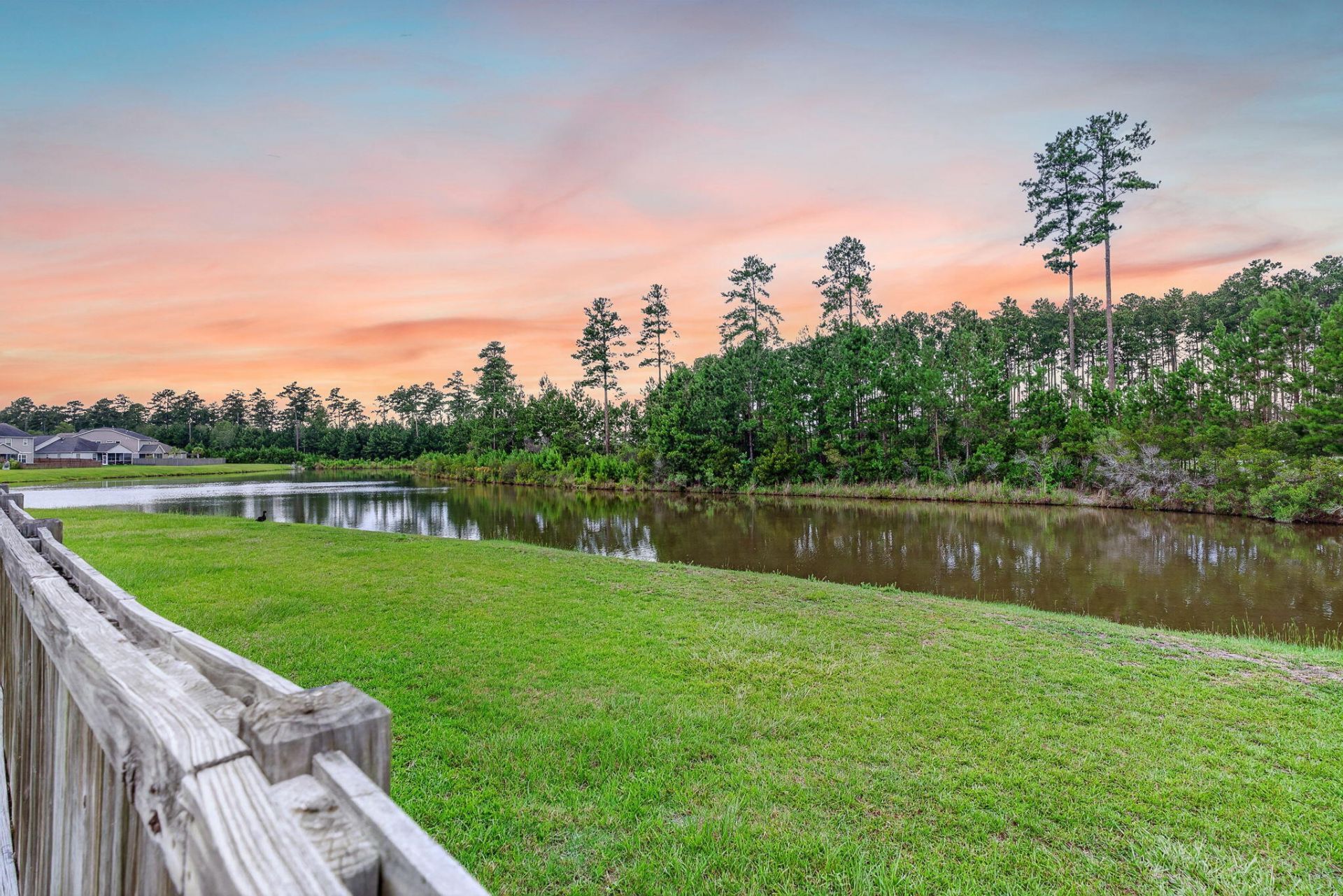 251 Palmetto Walk Drive Photo 41