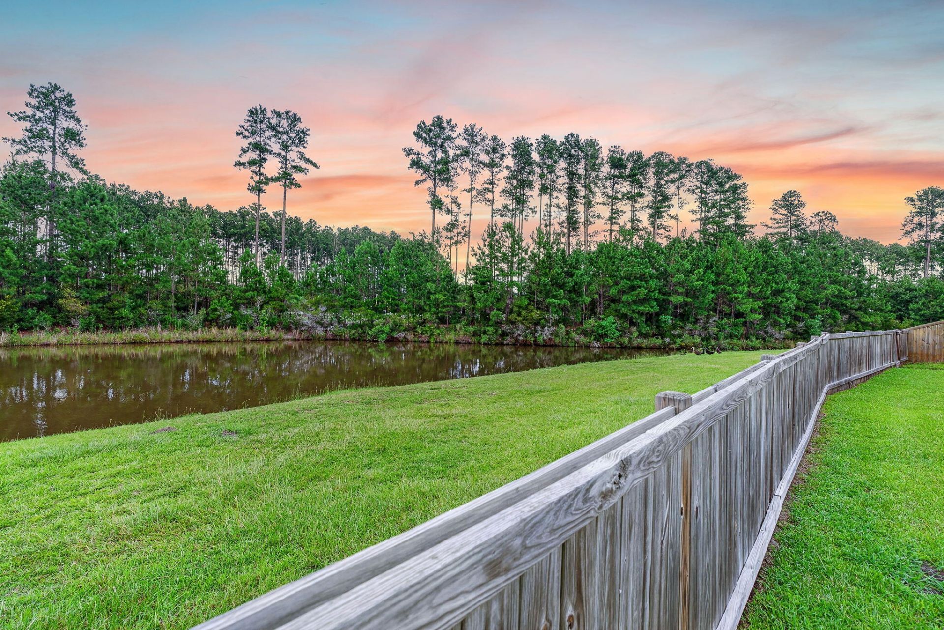 251 Palmetto Walk Drive Photo 42
