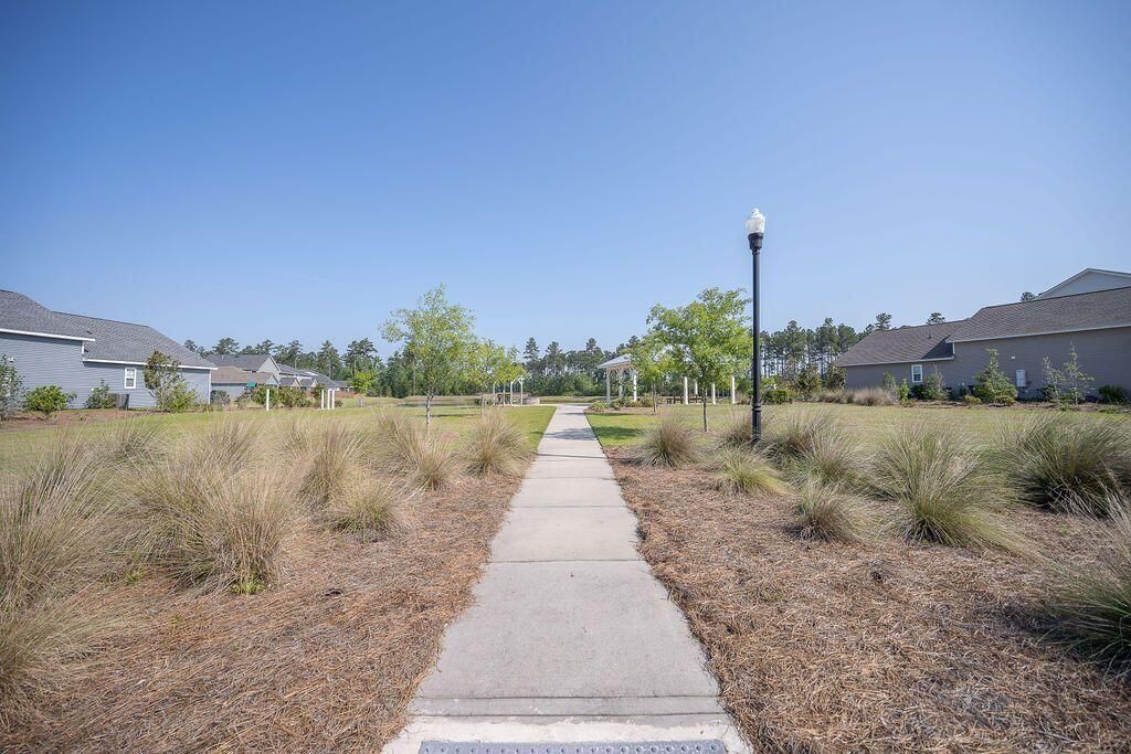 251 Palmetto Walk Drive Photo 46