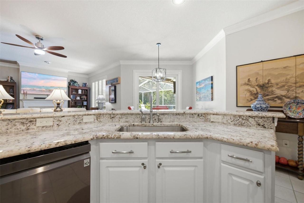 10212 Newington Place, Tampa, FL 33626 Photo