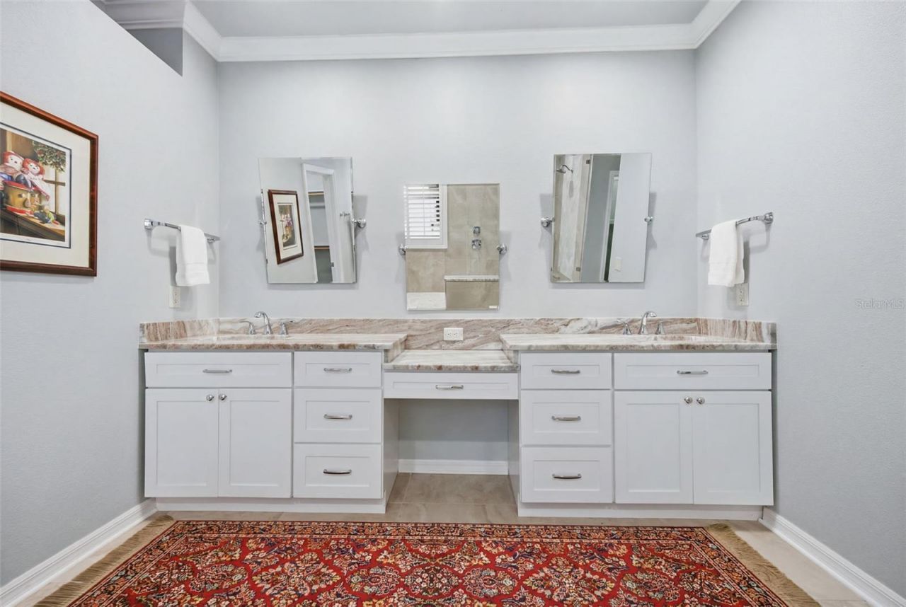 10212 Newington Place, Tampa, FL 33626 Photo
