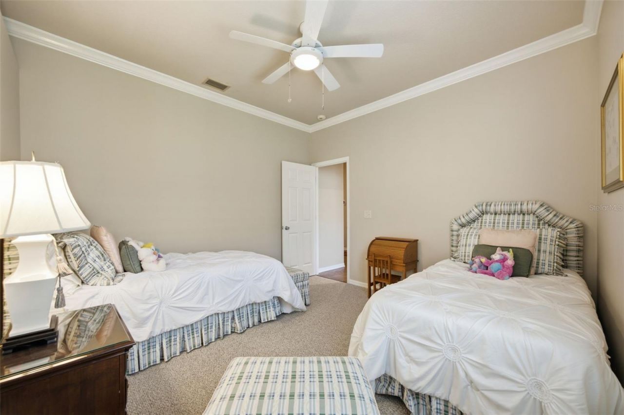 10212 Newington Place, Tampa, FL 33626 Photo
