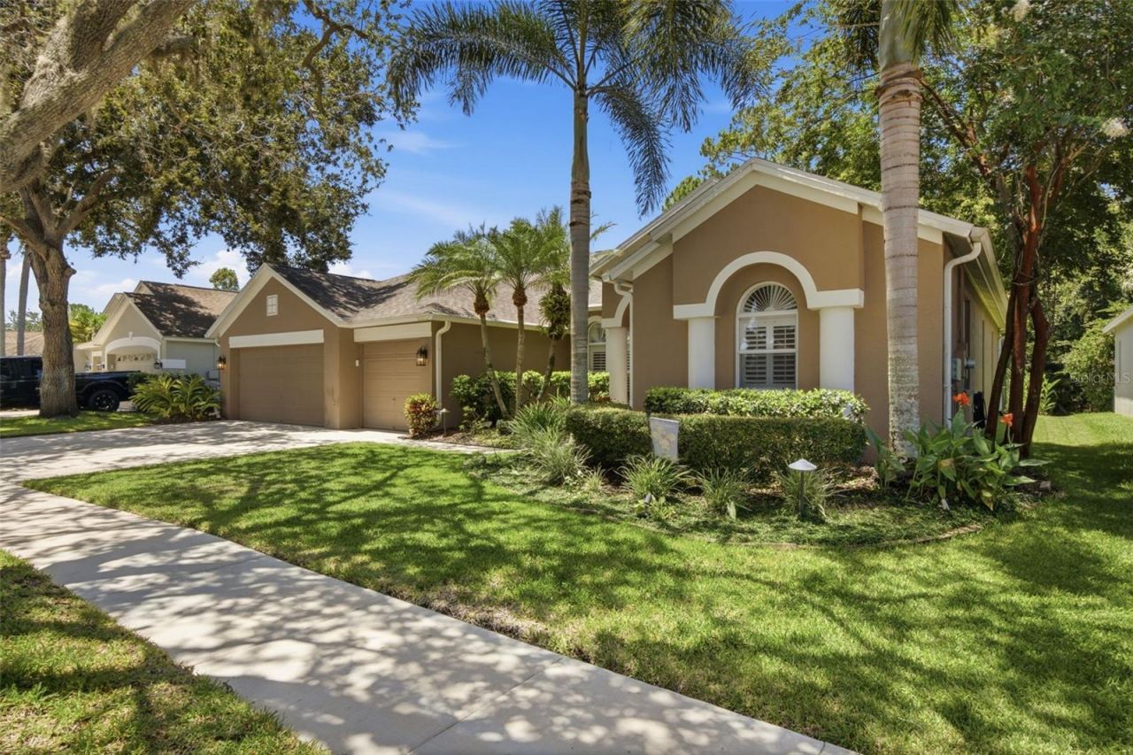 10212 Newington Place, Tampa, FL 33626 Photo