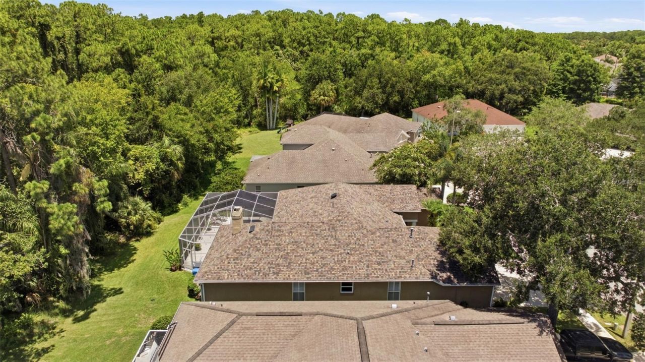 10212 Newington Place, Tampa, FL 33626 Photo