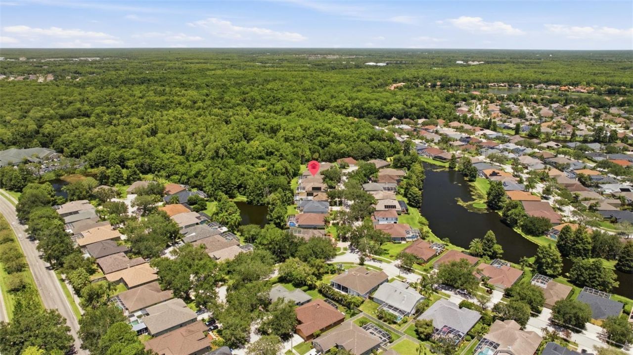 10212 Newington Place, Tampa, FL 33626 Photo