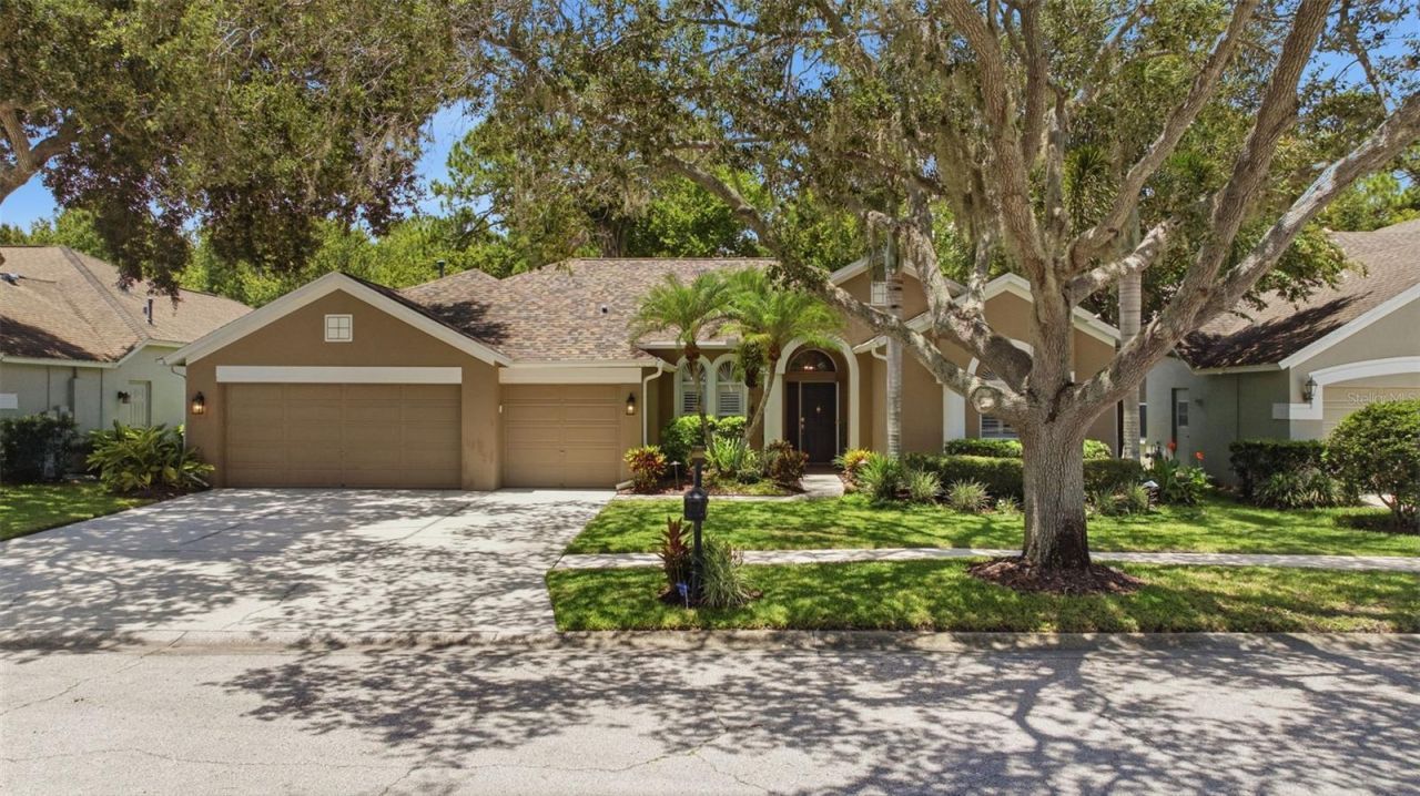 10212 Newington Place, Tampa, FL 33626 Photo