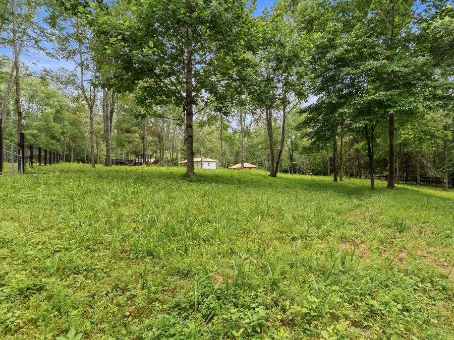 Property Image 67