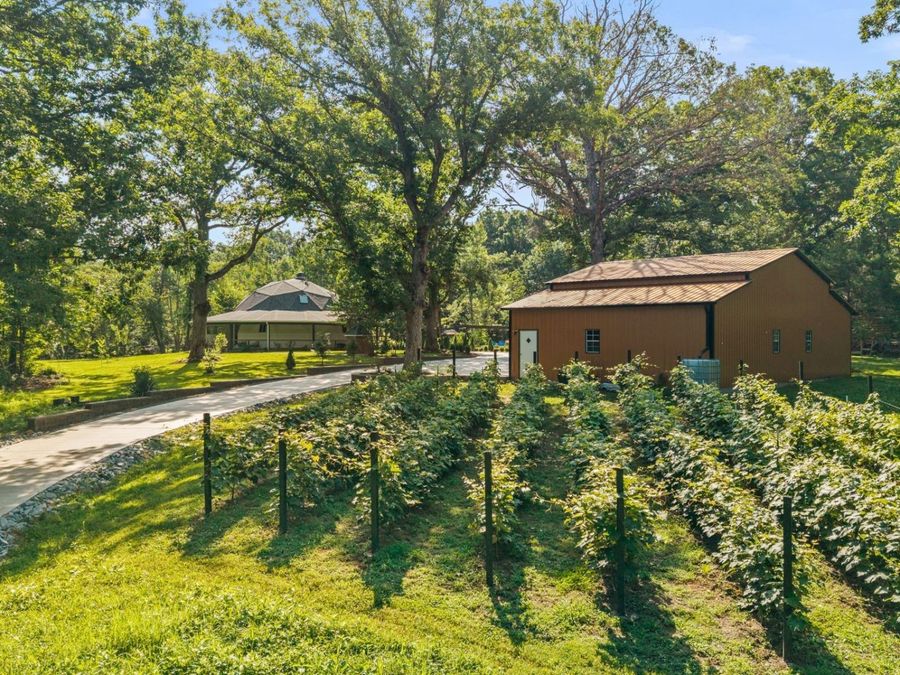 Property Image 80