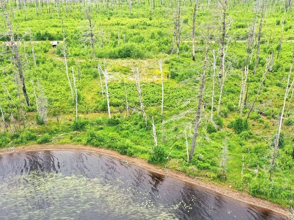 2377 N Mcdougal Lane , Isabella, MN 55607