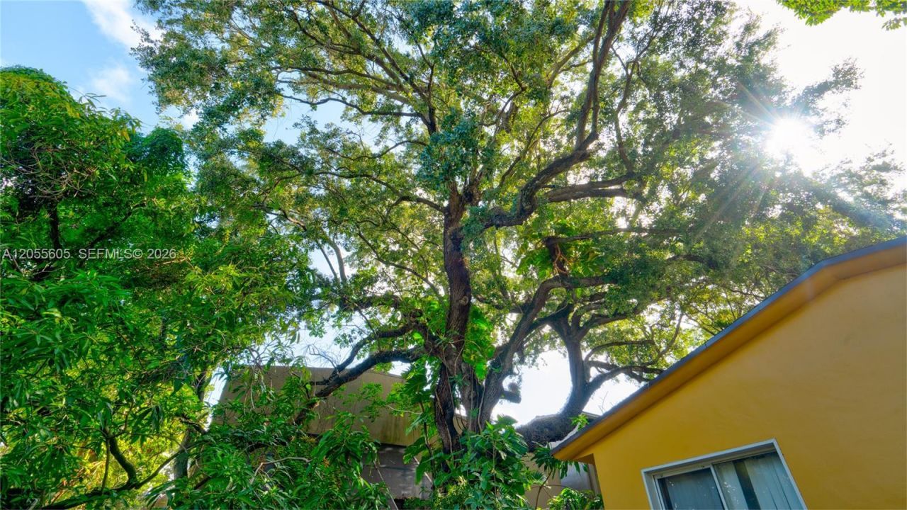 3036 Center St, Miami, FL 33133 Photo