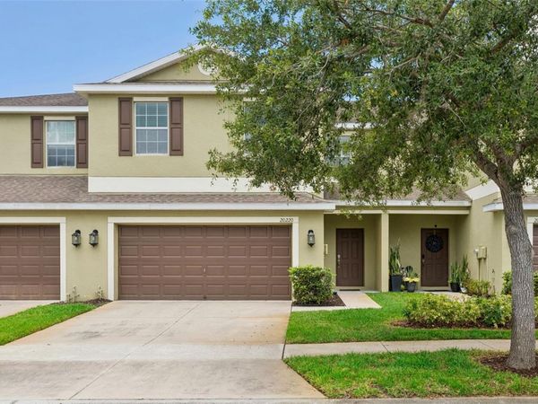 20220 POND APPLE LANE , TAMPA, FL 33647