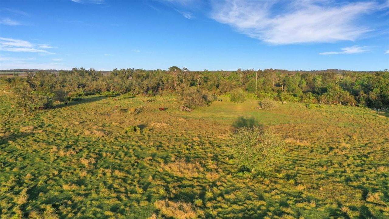 Please Call For Address, Myakka City, FL 34251 Photo