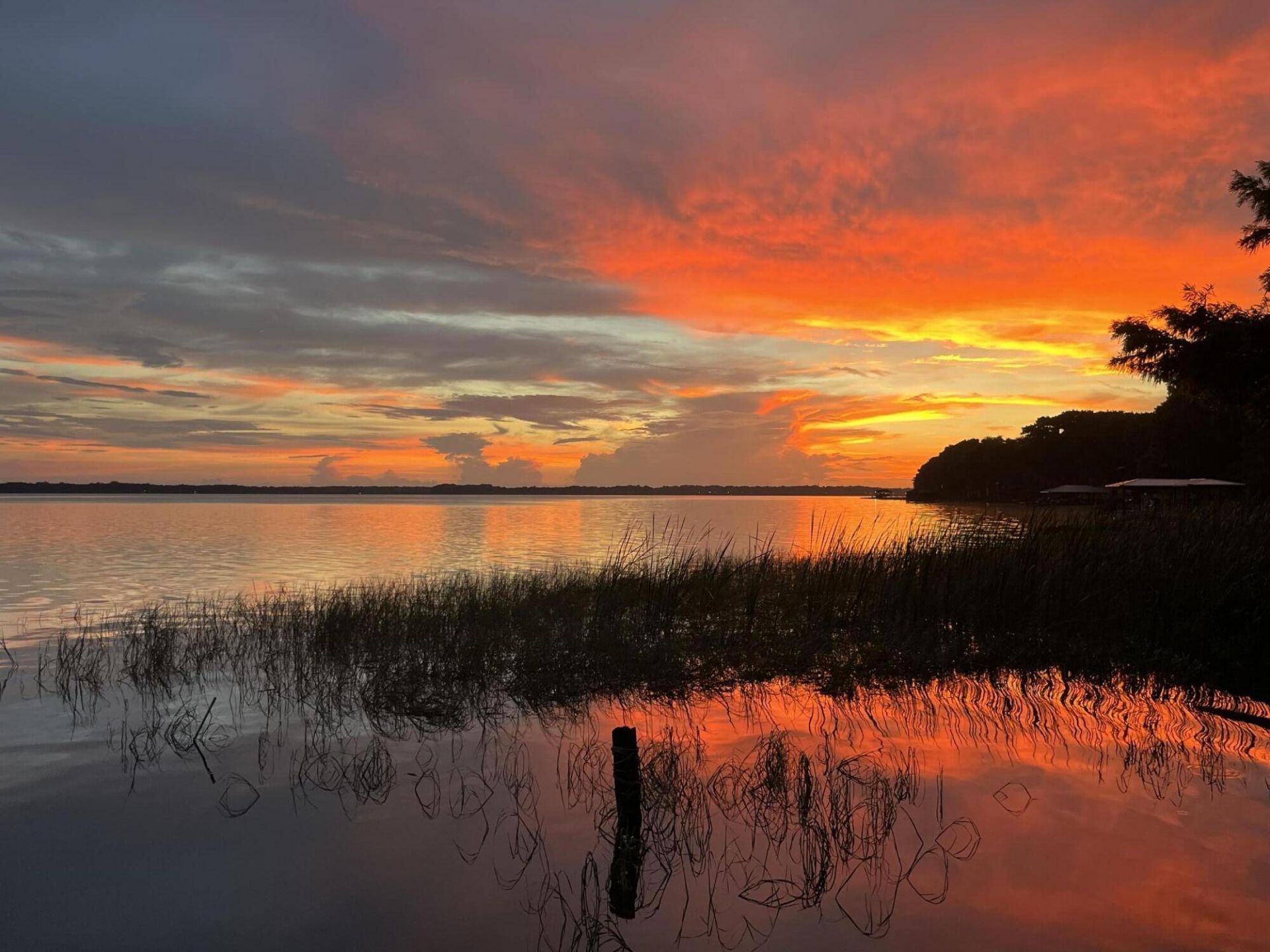 30139 Johnsons Point Road, Leesburg, FL 34748 Photo