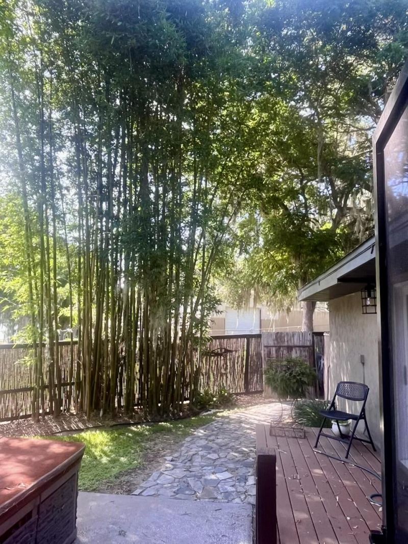 30139 Johnsons Point Road, Leesburg, FL 34748 Photo