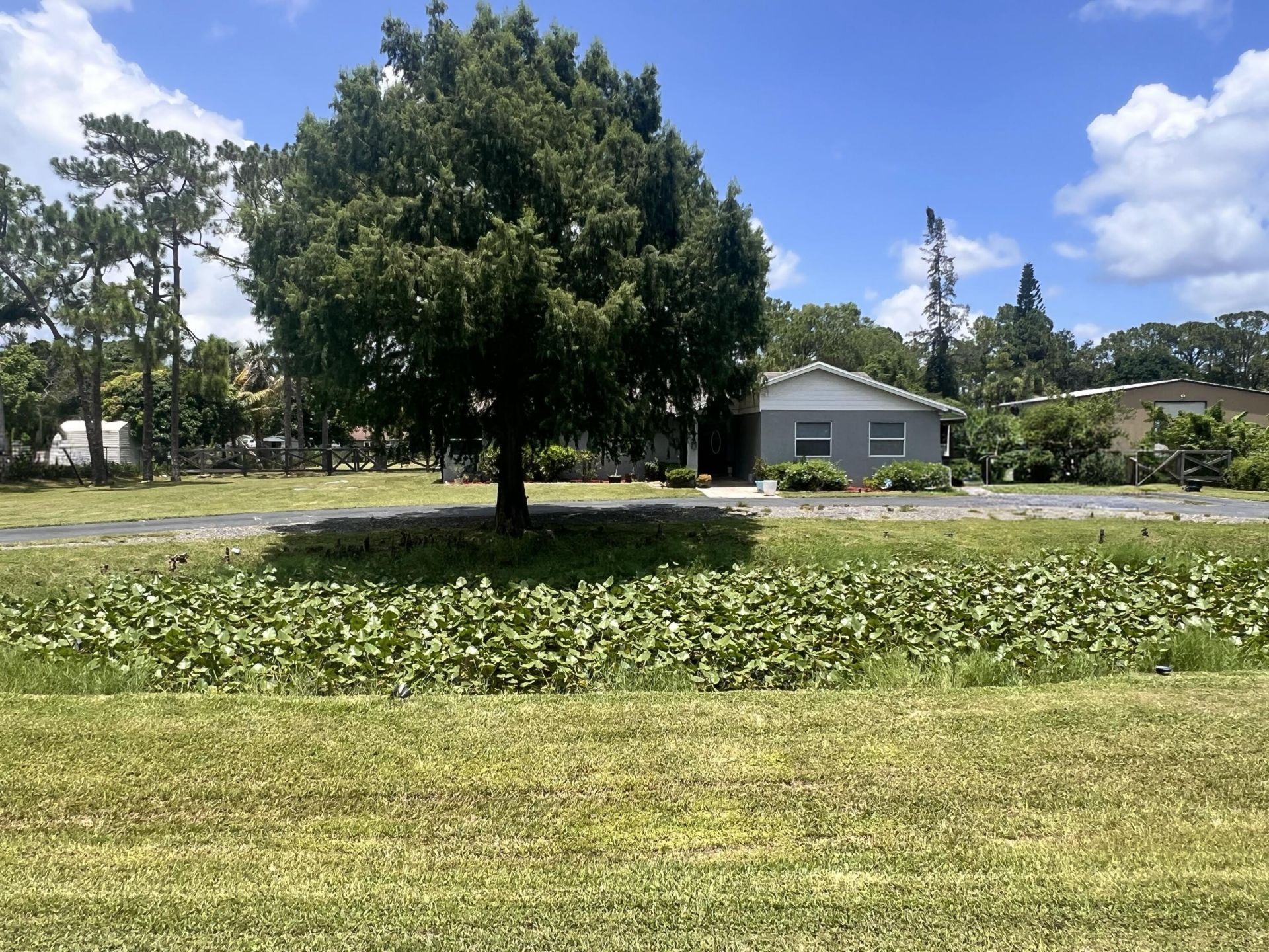 11415 46th Place N, The Acreage, FL 33411 Photo
