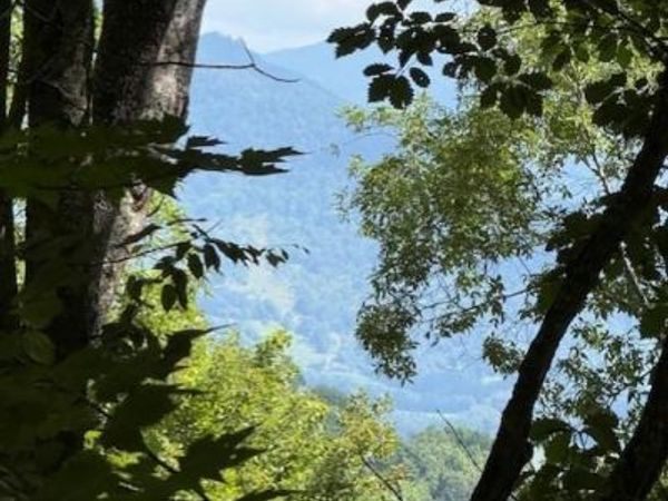 110 Cabin Ridge , Waynesville, NC 28785