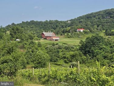 RED BARN LANE , LINDEN, VA 22642