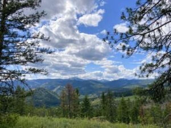 4xx R VISTA VIEW Ln, Kettle Falls, WA 99138