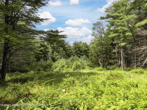 154 Lang Road, Accord, NY 12404