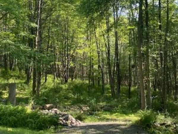 Tbd Lang Road, Accord, NY 12404