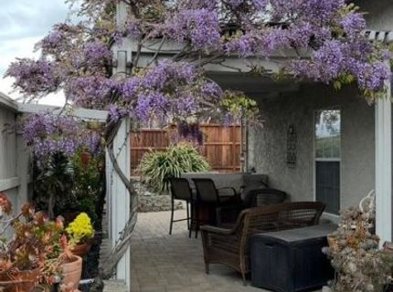 8201 Mulrany Way, Antelope, CA 95843 Photo