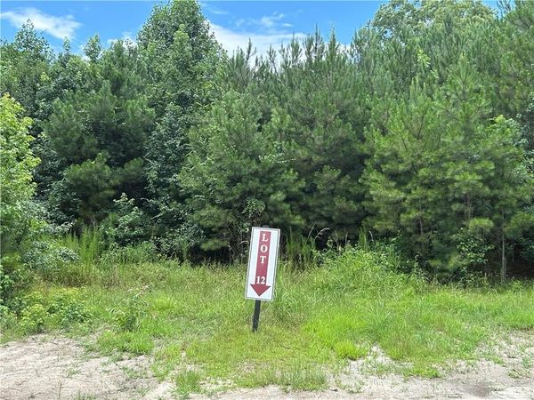 0 Hamilton Road , Chattahoochee Hills, GA 30268
