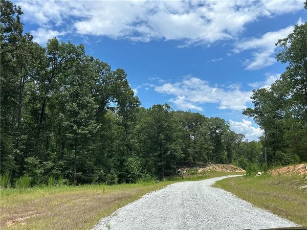 0 Hamilton Road , Chattahoochee Hills, GA 30268