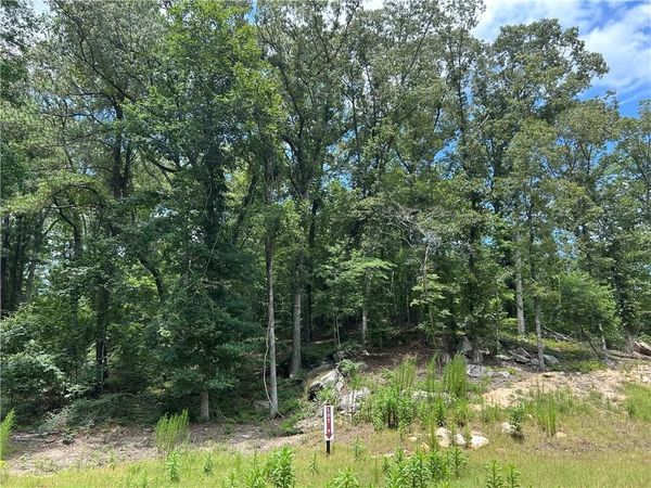 0 Hamilton Road , Chattahoochee Hills, GA 30268