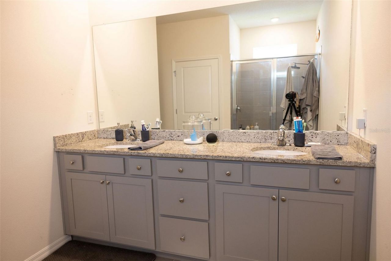 3852 Mossy Limb Court, Palmetto, FL 34221 Photo
