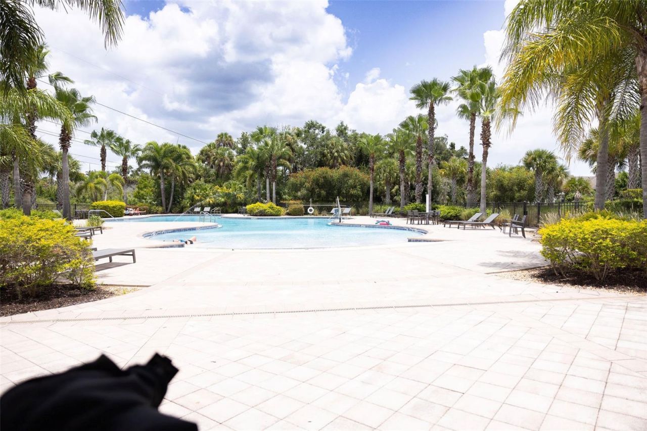 3852 Mossy Limb Court, Palmetto, FL 34221 Photo